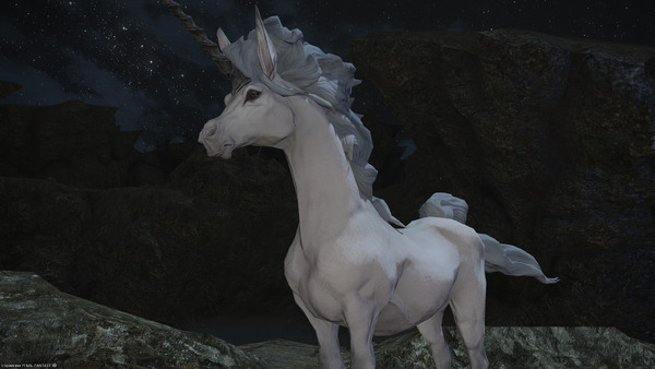 I think I made a new friend