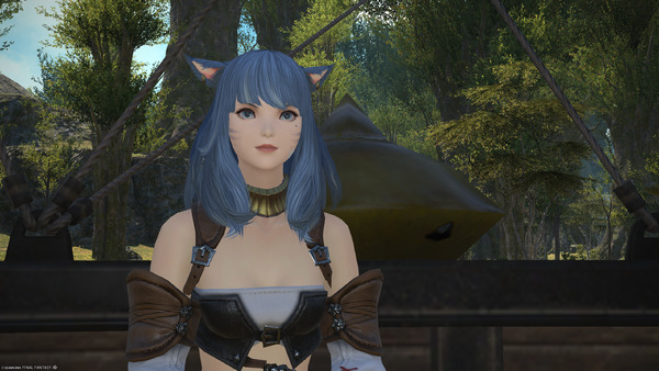 On my way to Gridania!